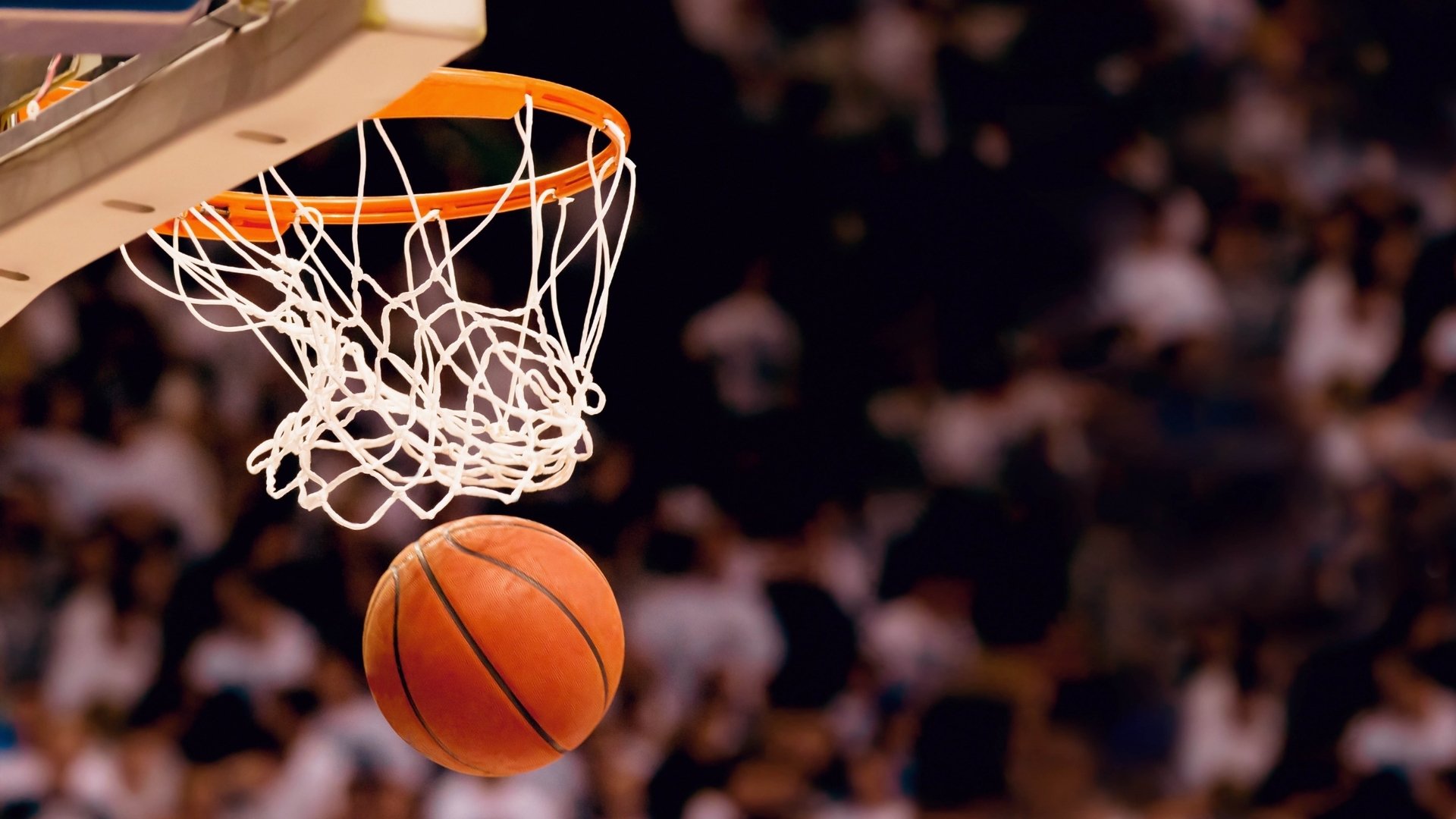 NBA一夜变天！豪强陨落新王登基，联盟格局彻底洗牌|